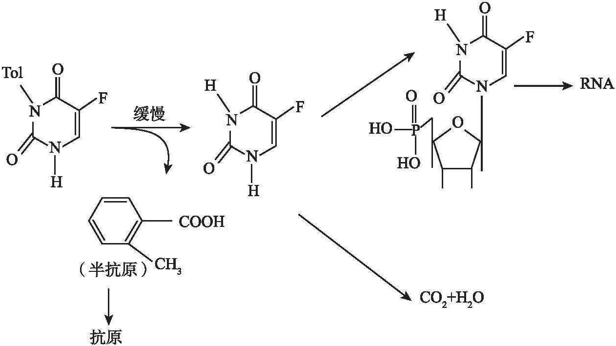 四、抗腫瘤藥物口服納米粒